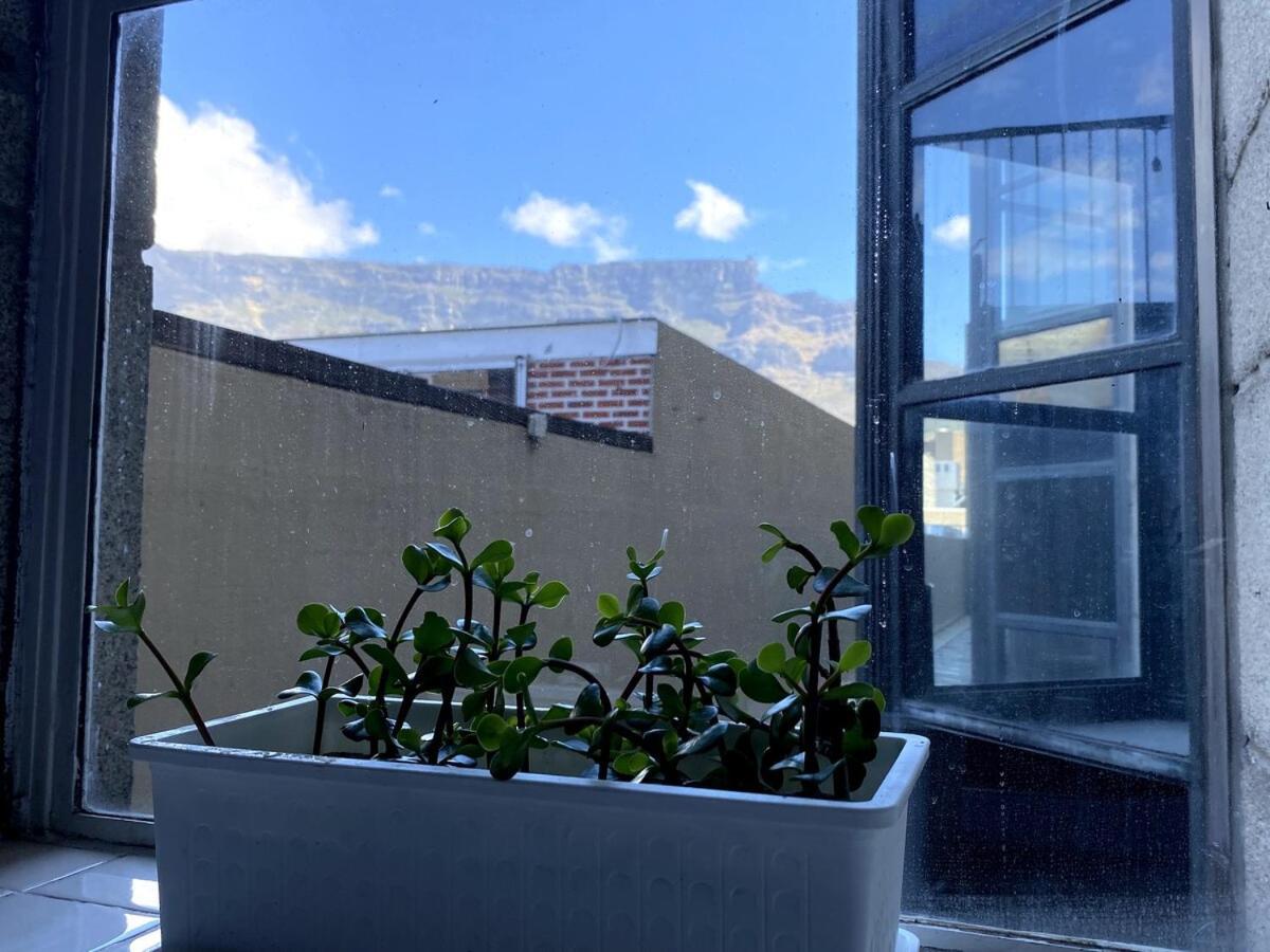 Apartment Art Deco Gem With View Of Table Mountain *